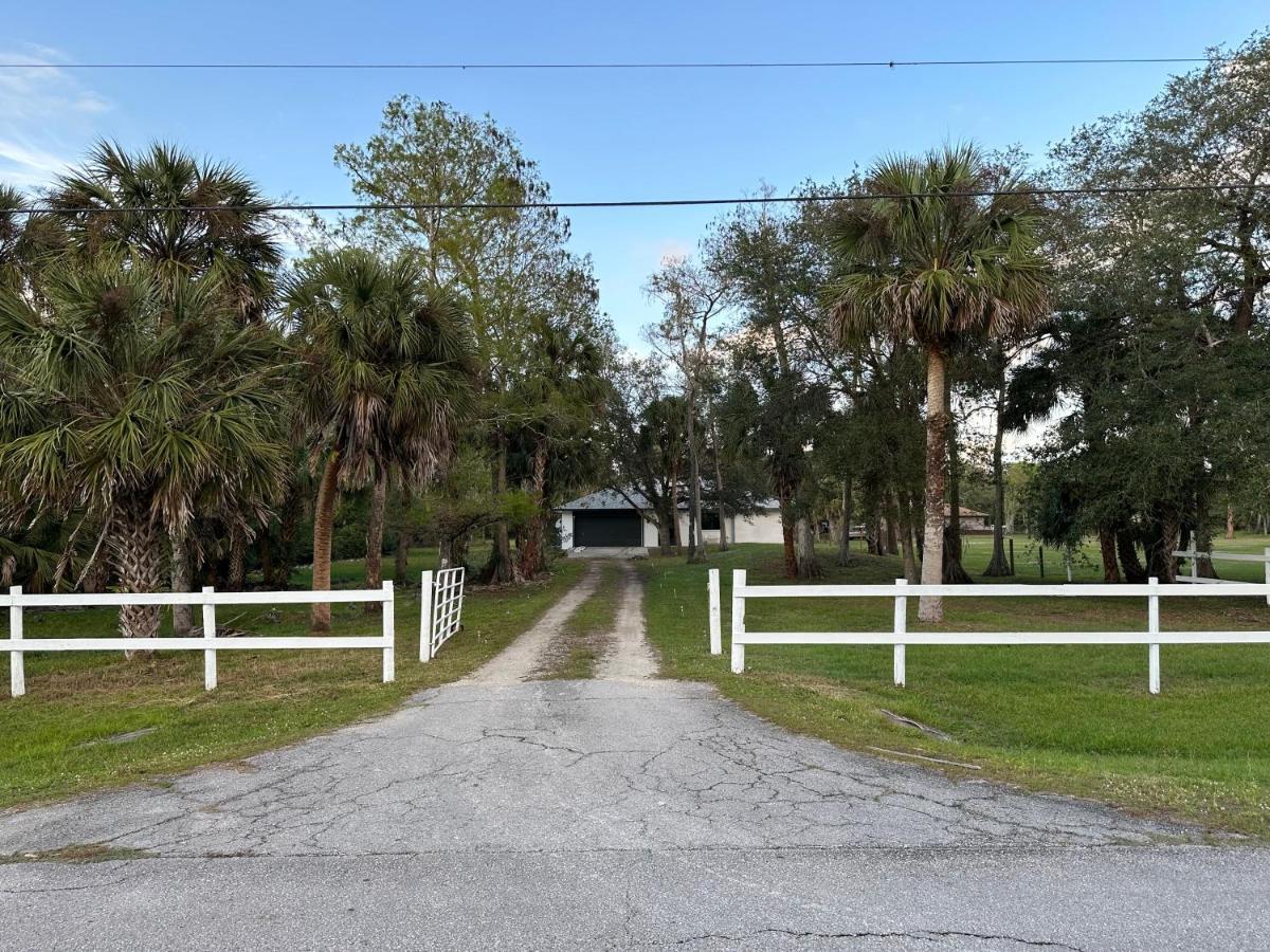 Vacation Pool Home In The Woods. North North Naples Exterior foto